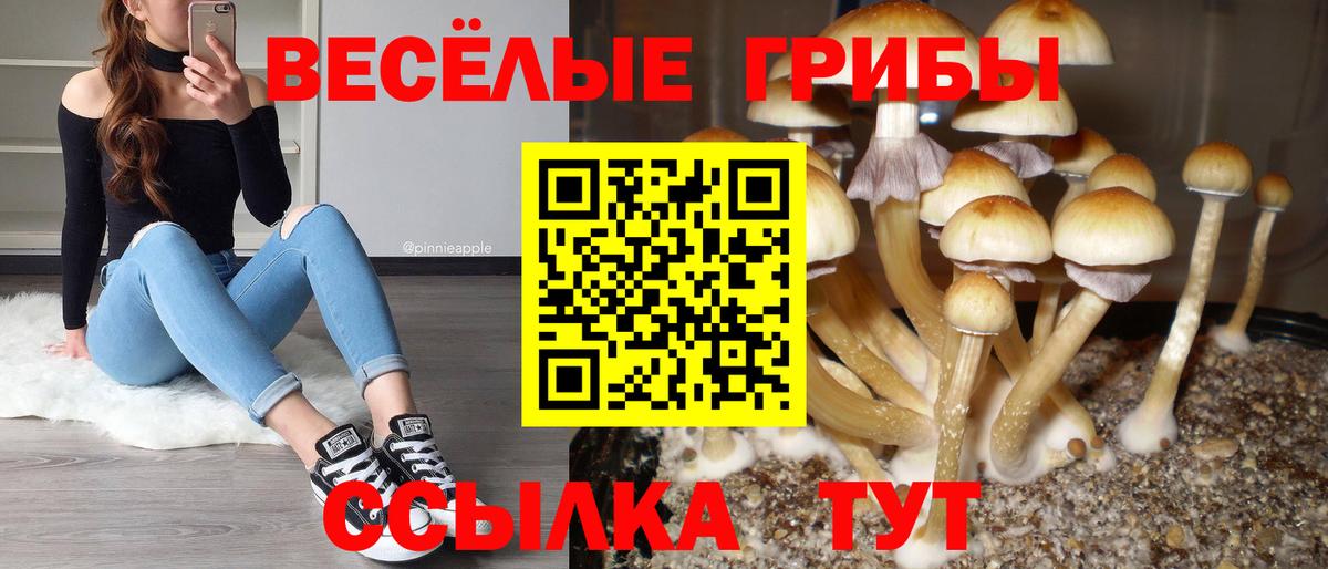 Галлюциногенные грибы мухоморы  Вход с VPN  Щёкино 